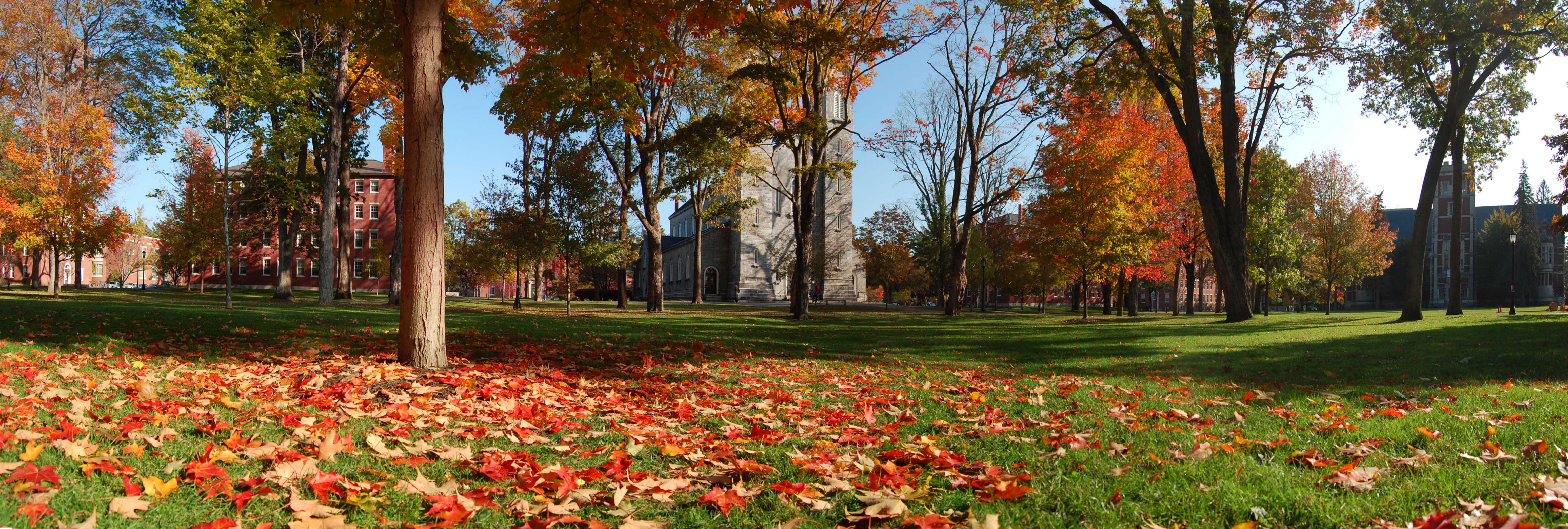 Bowdoin College Quad in the fall. Photo courtesy of Wikimedia Commons.