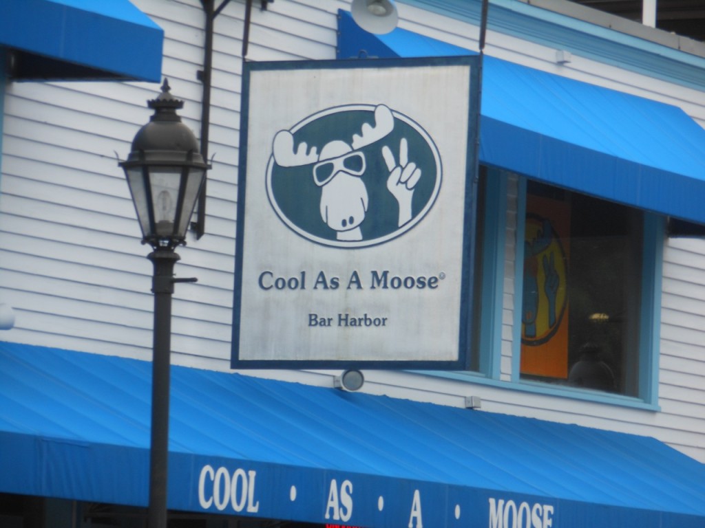 Cool as a Moose in Bar Harbor.